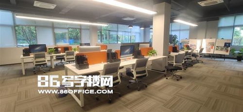 搶占自貿先機 上海森蘭美奐寫字樓，賦能跨境電商與醫療器械新未來
